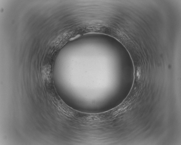 X0000059820867200510241353