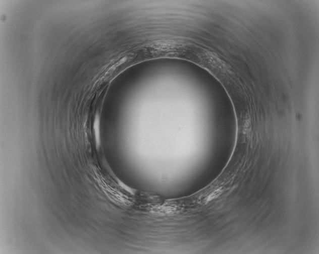 X0000059820868200510241353