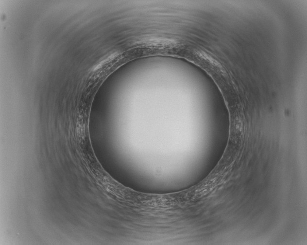 X0000059820869200510241353