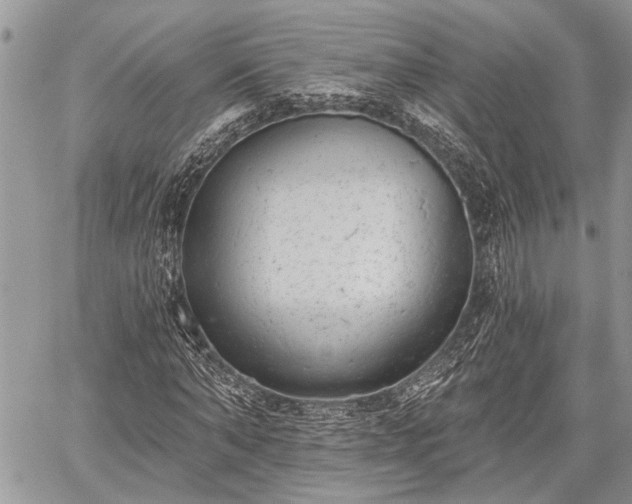 X0000059820870200510241353