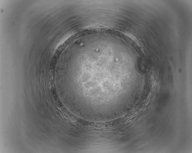 X0000059820871200510241353