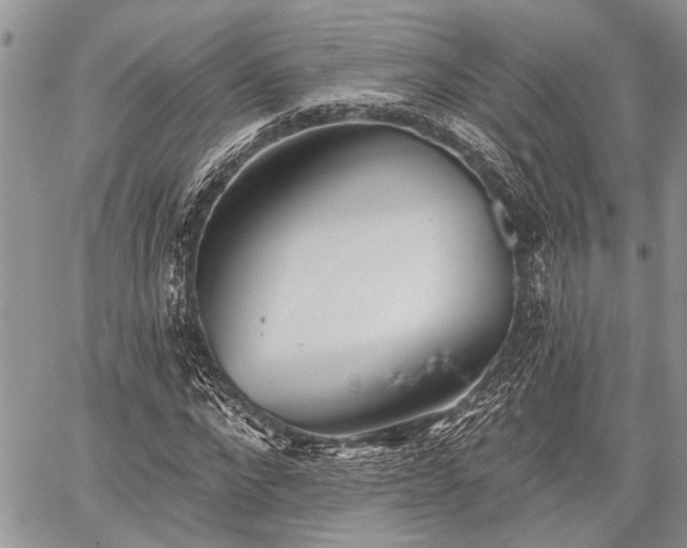 X0000059820872200510241353