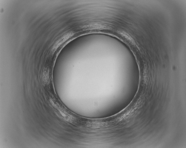 X0000059820873200510241353