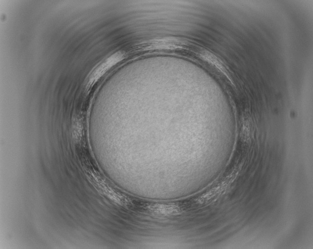 X0000059820874200510241353