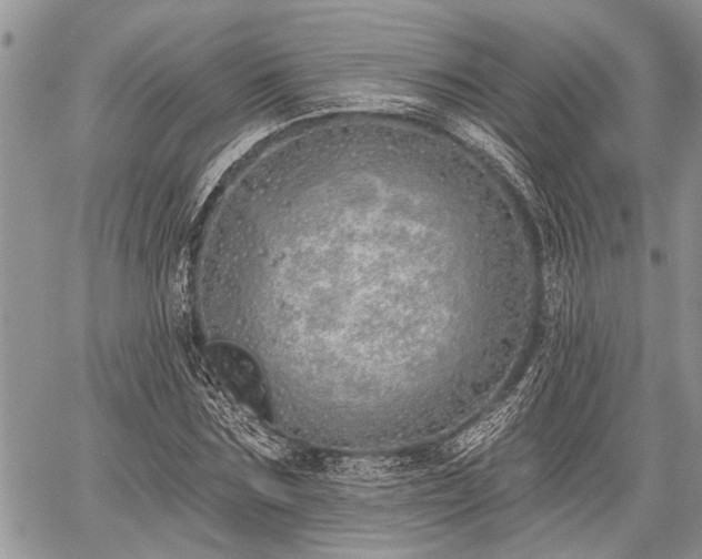 X0000059820875200510241353