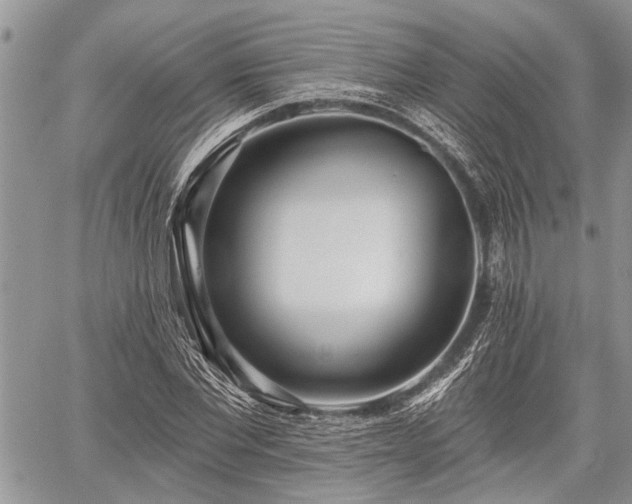 X0000059820877200510241353