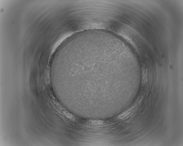 X0000059820878200510241353