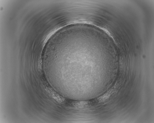 X0000059820879200510241353