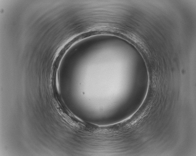 X0000059820880200510241353