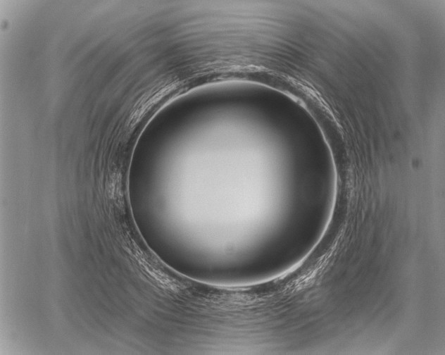 X0000059820881200510241353