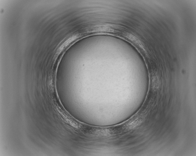 X0000059820882200510241353