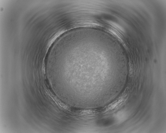 X0000059820883200510241353