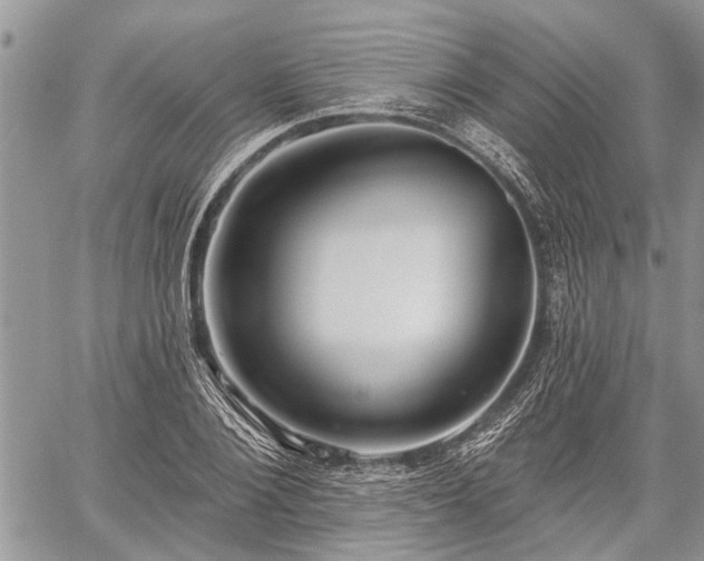 X0000059820884200510241353