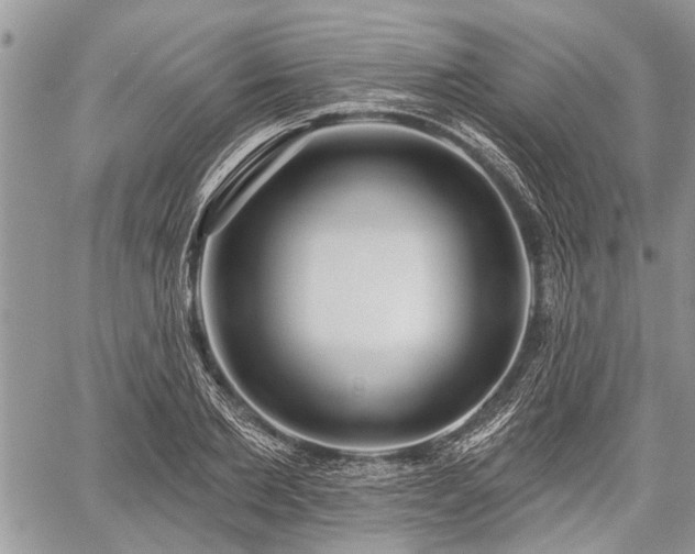 X0000059820885200510241353