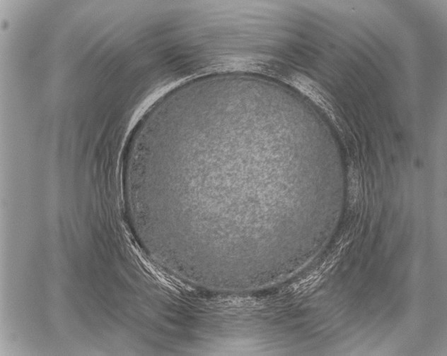 X0000059820886200510241353