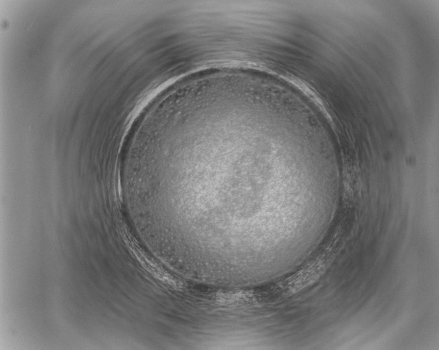 X0000059820887200510241353