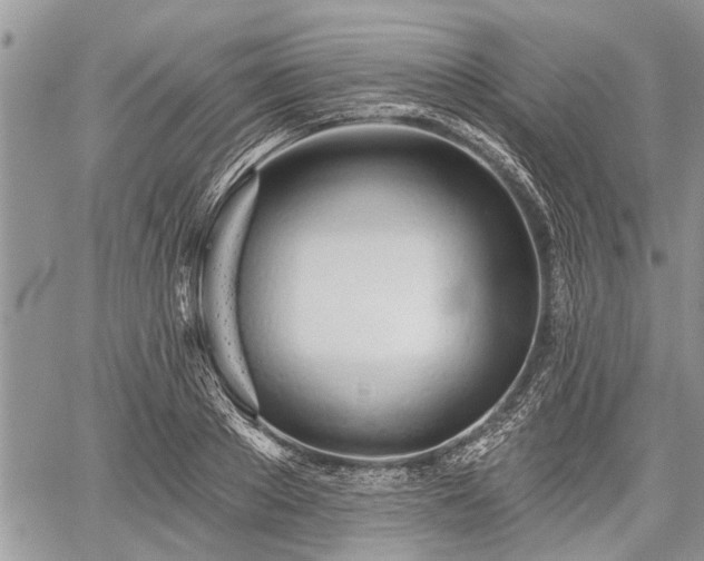 X0000059820889200510241353