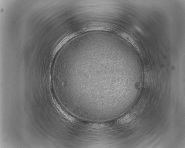 X0000059820890200510241353