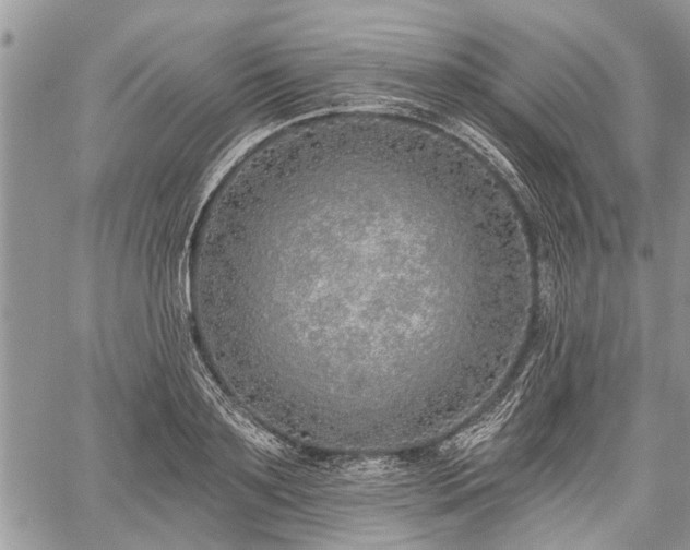 X0000059820891200510241353