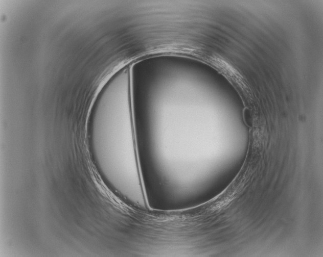 X0000059820892200510241353