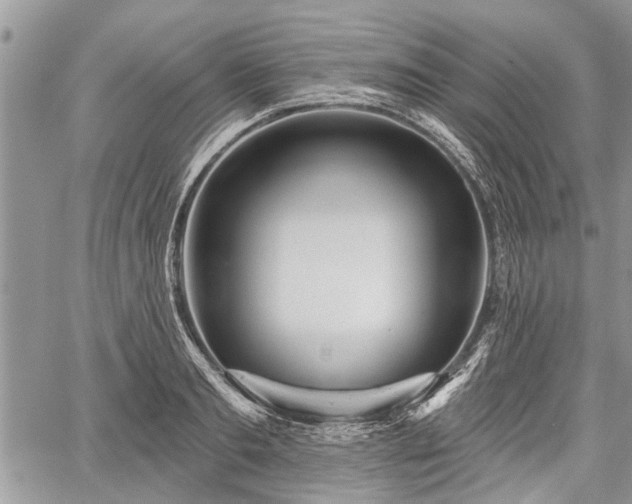 X0000059820893200510241353