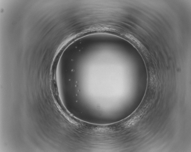 X0000059820894200510241352