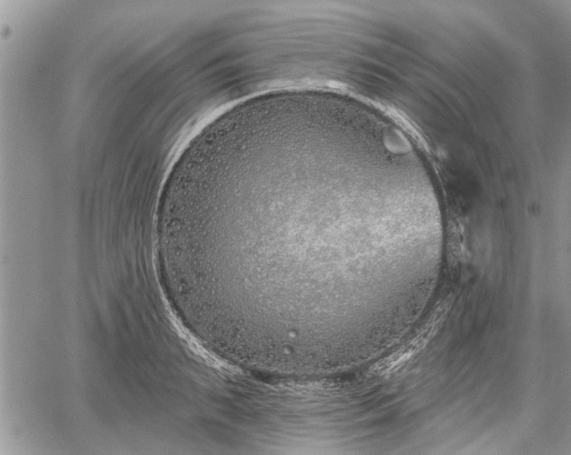 X0000059820895200510241352