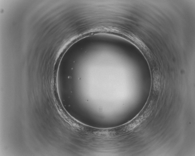 X0000059820896200510241352