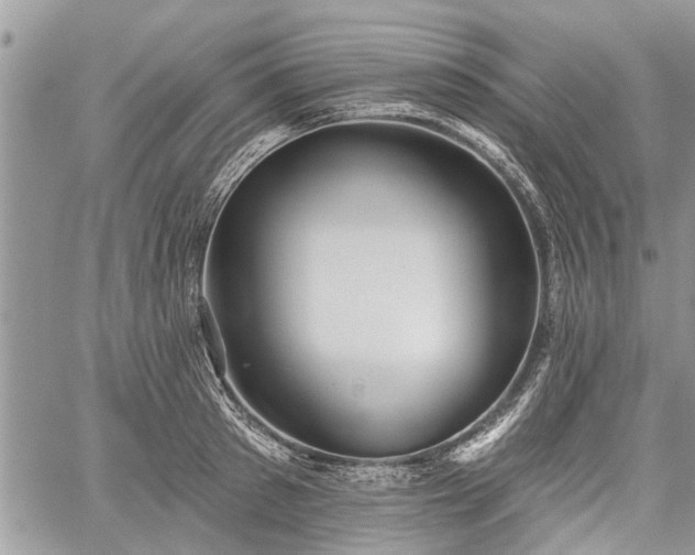 X0000059820897200510241352