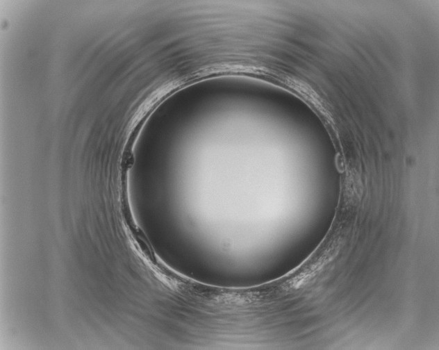 X0000059820898200510241352