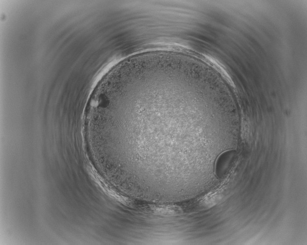 X0000059820899200510241352