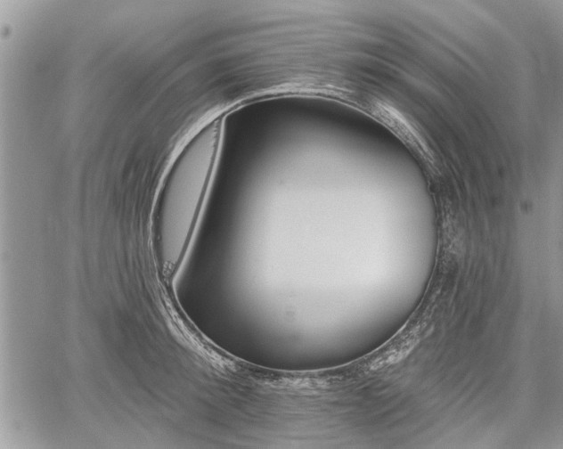 X0000059820900200510241352