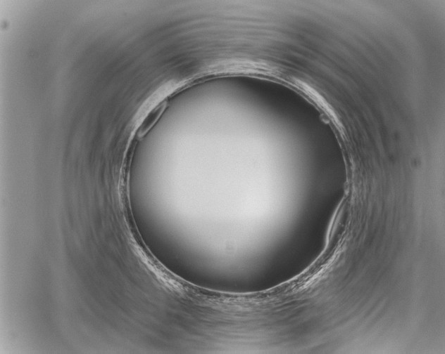 X0000059820901200510241352