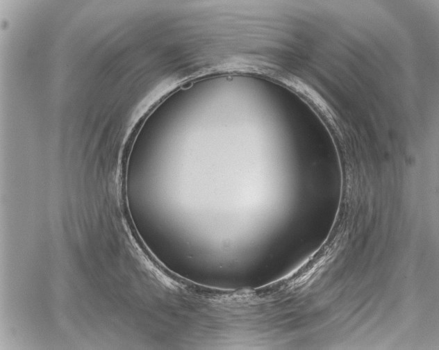 X0000059820902200510241352