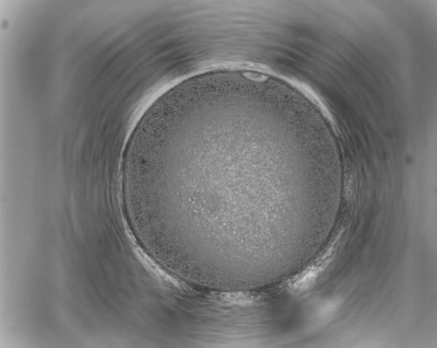 X0000059820903200510241352