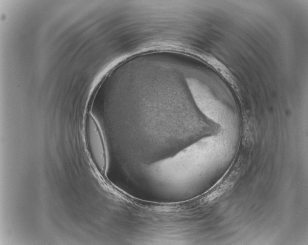 X0000059820904200510241352