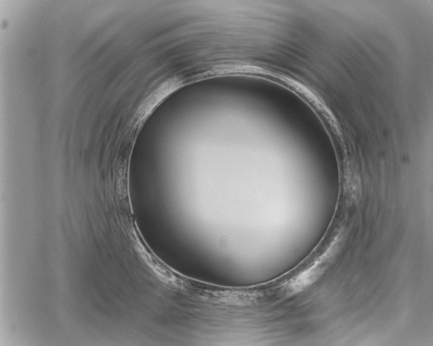 X0000059820905200510241352