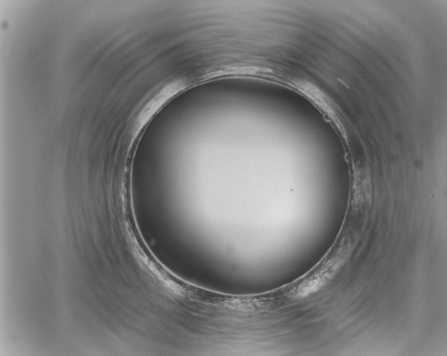 X0000059820906200510241352