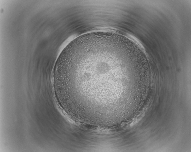 X0000059820907200510241352