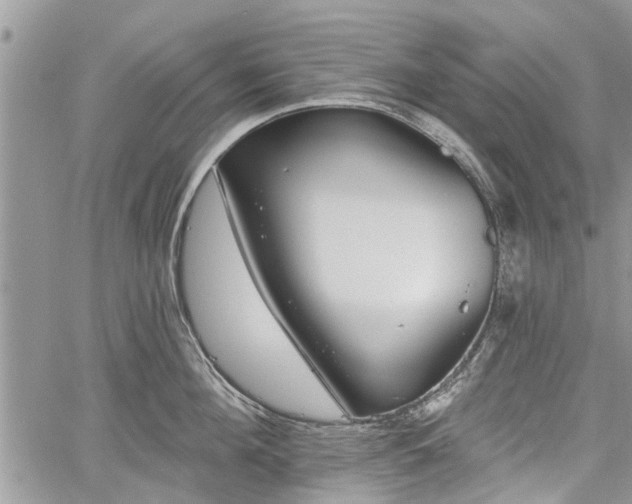 X0000059820908200510241352