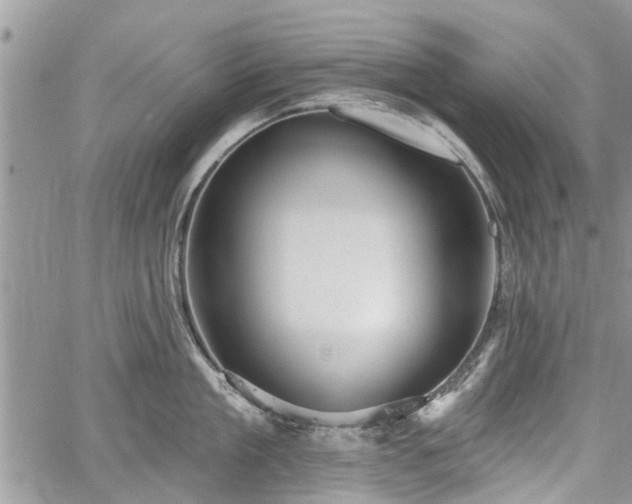 X0000059820909200510241352