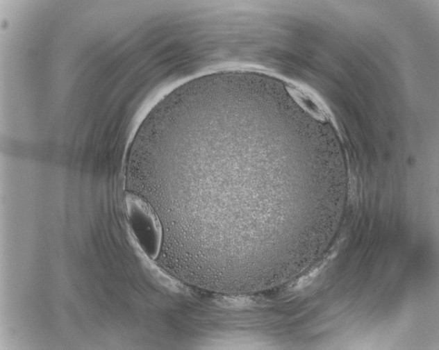 X0000059820911200510241352