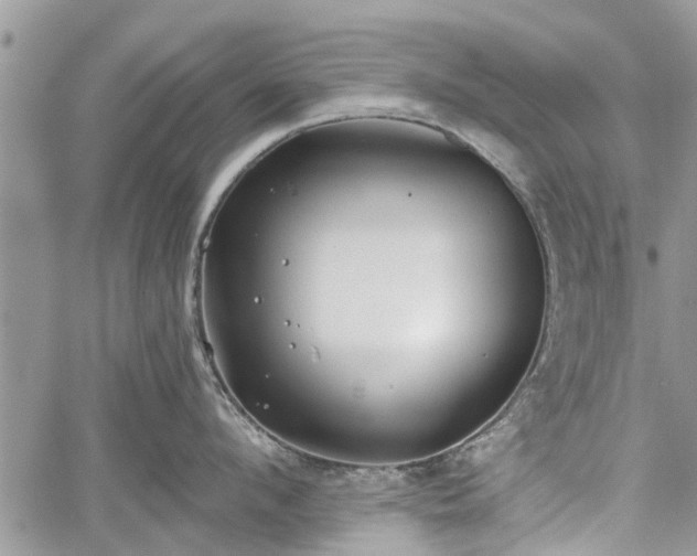 X0000059820912200510241352