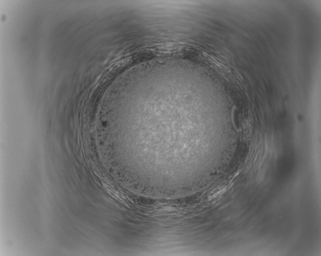 X0000059820913200510241351