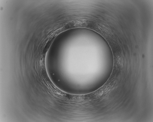 X0000059820914200510241351