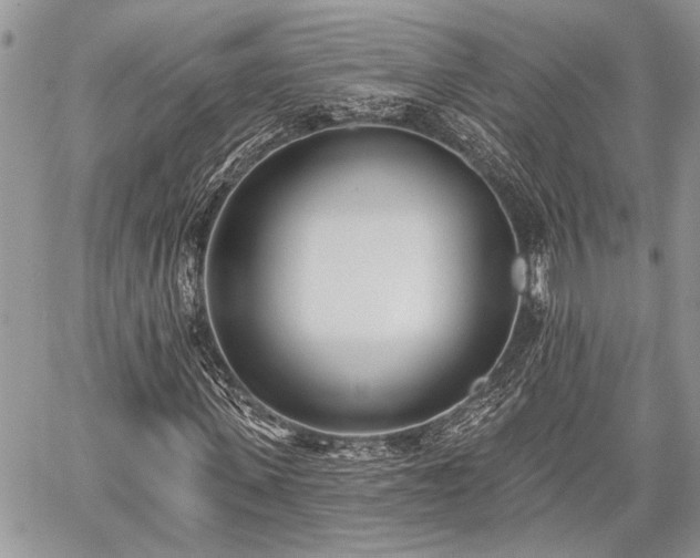 X0000059820915200510241351