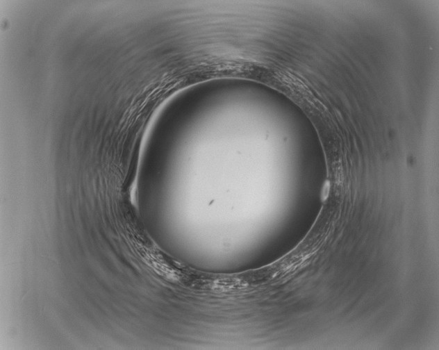 X0000059820916200510241351