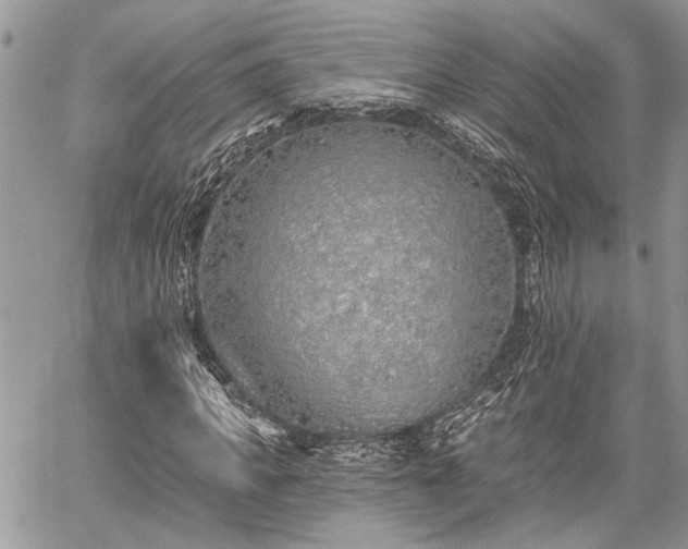 X0000059820917200510241351