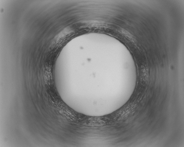 X0000059820918200510241351