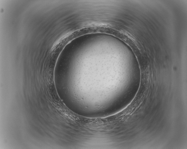 X0000059820919200510241352